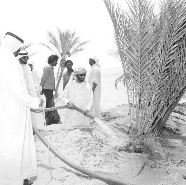 رؤية الشيخ زايد للاستدامة… استراتيجية راسخة تدمج قضايا البيئة في مناهج التعليم بالدولة