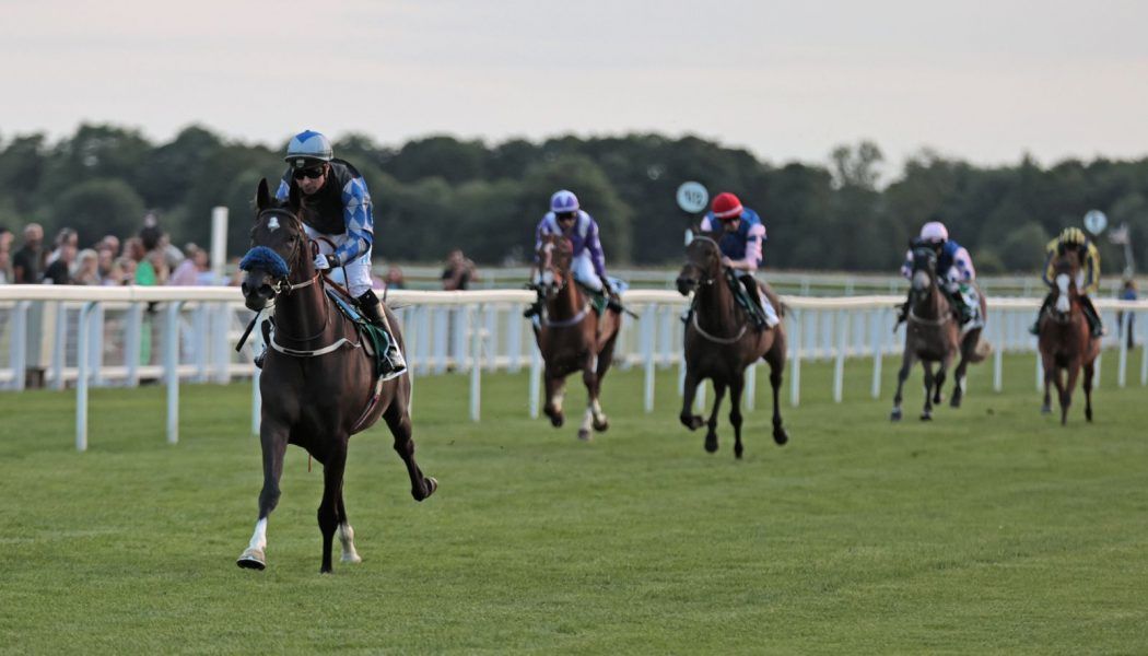 “سيدة عذبة” تتوّج بكأس “الوثبة ستاليونز” للخيول العربية في بريطانيا