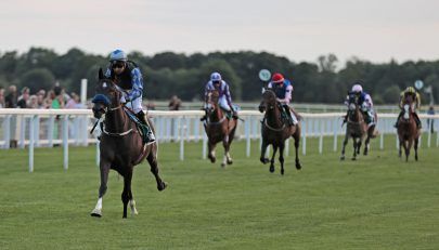 “سيدة عذبة” تتوّج بكأس “الوثبة ستاليونز” للخيول العربية في بريطانيا