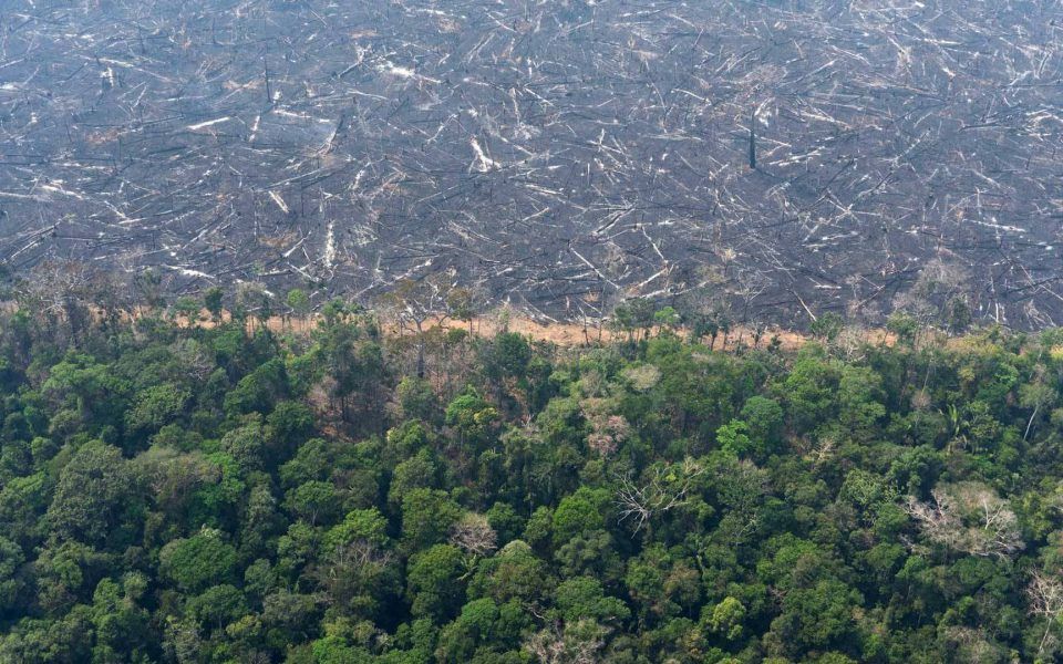 لماذا تُعد غابات الأمازون على هذا القدر من الأهمية في قضية تغير المناخ؟