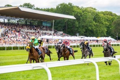 المهر ” بهوان” يحصد لقب كأس رئيس الدولة للخيول العربية في بولندا