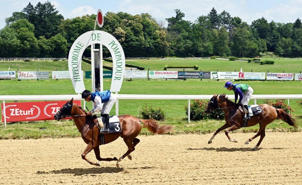 “خطر” و”أغيداري” يتوّجان بسباقي الوثبة للخيول العربية في فرنسا