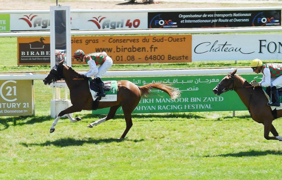 3 سباقات في كأس مهرجان منصور بن زايد للخيول العربية بفرنسا اليوم