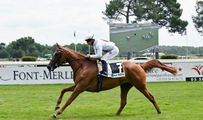 “نور” و”الرشا” و”مشرف” أبطالاً لكأس مهرجان منصور بن زايد للخيول العربية بفرنسا