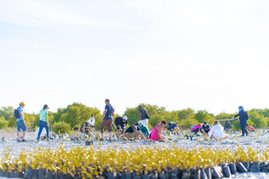 “البصمة البيئية في الإمارات”… مبادرة تدعم تحقيق استراتيجية الحياد المناخي