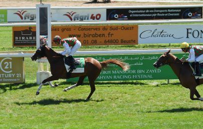 غداً.. 3 سباقات في كأس مهرجان منصور بن زايد للخيول العربية بفرنسا