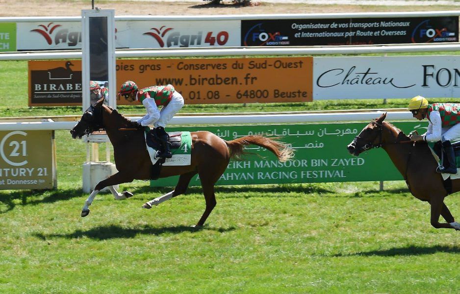 غداً.. 3 سباقات في كأس مهرجان منصور بن زايد للخيول العربية بفرنسا
