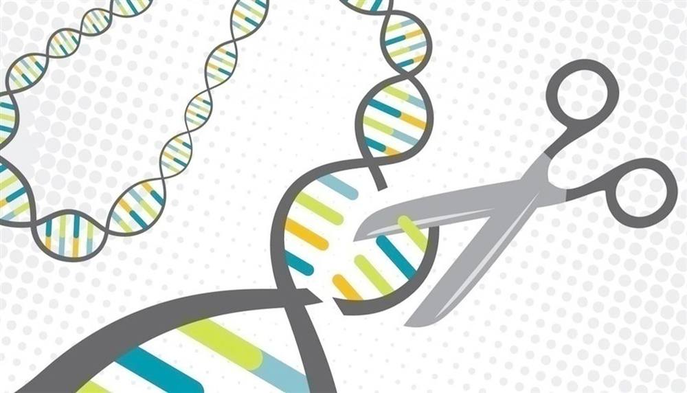 المقص الجيني.. علاج جديد للأنيميا الوراثية