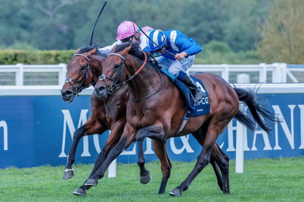 الجواد “حكم” لـ”شادويل” يخوض سباق “الآرك” الفرنسي العريق