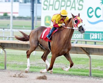 8 خيول تتنافس على كأس الوثبة بأمريكا اليوم