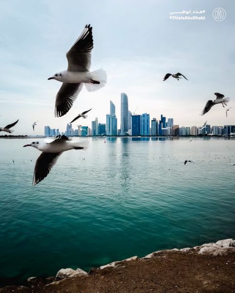 #هذه_أبوظبي.. الكورنيش بعدسة عمر بن زكي زعير