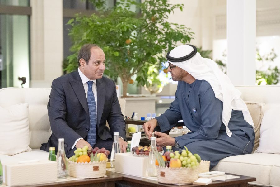 رئيس الدولة والرئيس المصري يبحثان علاقات البلدين والتطورات في المنطقة