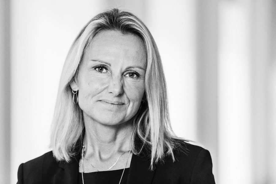 الدنمارك تطلق مبادرة  “الممر الأخضر”  في كوب 28