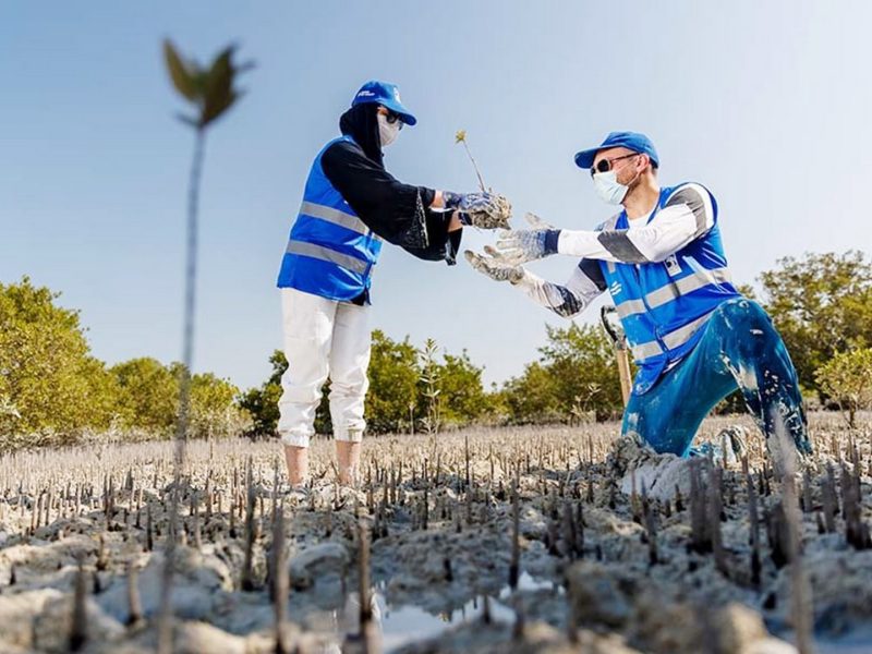 “أدنوك” ترسخ دورها الريادي كمزود عالمي موثوق ومسؤول للطاقة منخفضة الانبعاثات