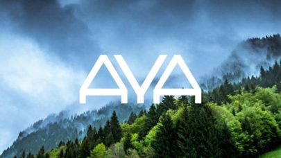 منصة آيا AYA التابعة لشركة إنجن ستارتر Enjinstarter تحصل على ترخيص مزود خدمة الأصول الافتراضية من قبل سلطة دبي لتنظيم الأصول الافتراضية