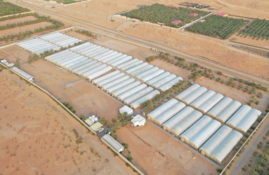 السياحة الزراعية في الإمارات.. مروج خصبة تدعم استدامة البيئة وتوفر فرصاً استثمارية واعدة