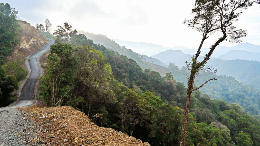 الغابات الجبلية تتلاشى بسرعة أكبر من ذي قبل