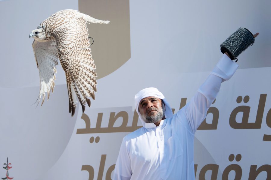 انطلاق أشواط “العامة مفتوح” ضمن بطولة فزاع للصيد بالصقور بمشاركة خليجية