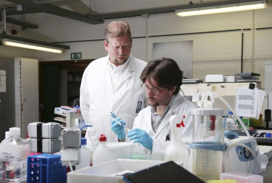 السيطرة على البروتينات المسؤولة عن معظم حالات الإصابة بالسرطان ممكنة