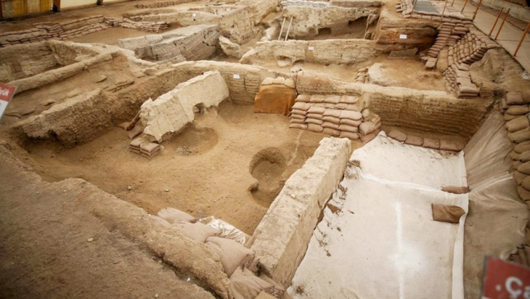 علماء يكتشفون خميرة عمرها 8600 عام