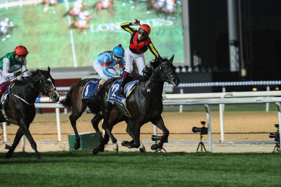 “دبي لسباق الخيل” يكشف عن الخيول المتوقع مشاركتها في أمسية كأس دبي العالمي 2024