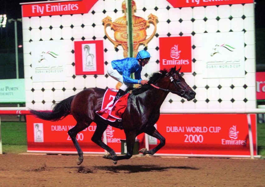 أبرزهم “سيجار” و”دبي ملينيوم”.. أشهر 5 خيول فازت بكأس دبي العالمي