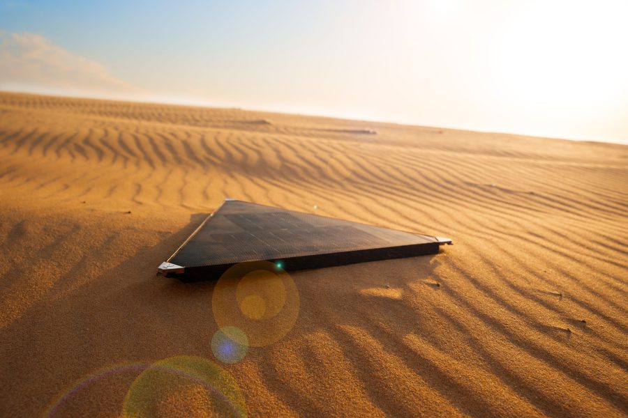 “بافيجن” و”قمة طاقة المستقبل” تُطلقان مبادرة لزراعة أشجار المانغروف