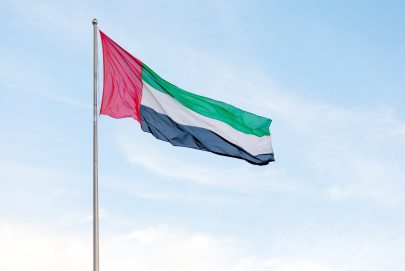 الإمارات.. آراء الجمهور “دليل استرشادي” في صياغة القرارات الحكومية