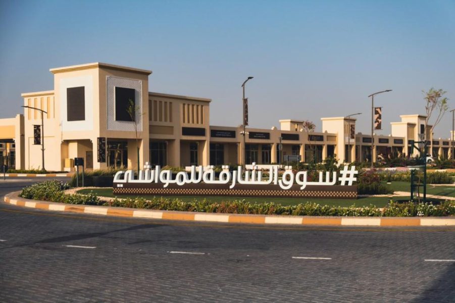 “سوق الشارقة للمواشي” يستعد لاستقبال زواره بعيد الأضحى بخطة متكاملة ومدروسة