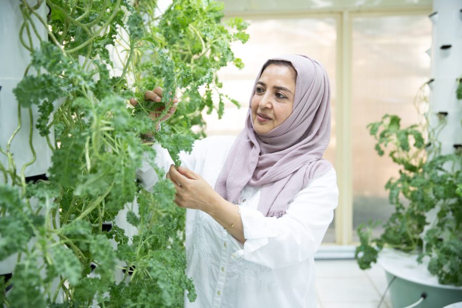 بلدية دبي تُعلن عن الفائزين بمسابقة أفضل حديقة منزلية منتجة ضمن حزم برنامج “مزارع دبي”