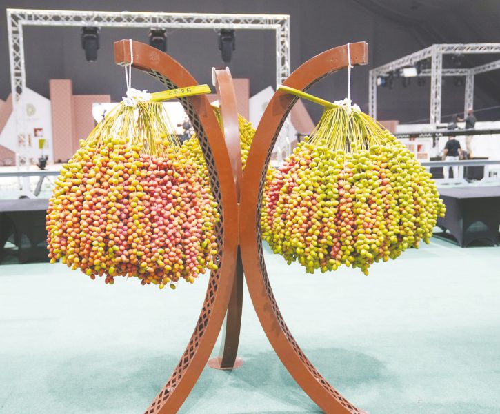 مهرجان ليوا للرطب يواصل فعالياته ويتوج الفائزين بمسابقة “أكبر عذج”