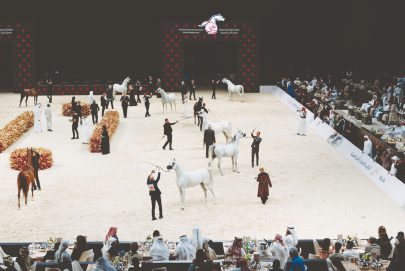 جمعية الإمارات للخيول العربية.. نقلة نوعية وحصاد استثنائي خلال موسم 2023-2024
