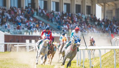الجواد “لاجارديه” يحرز لقب كأس الوثبة للخيول العربية في رومانيا