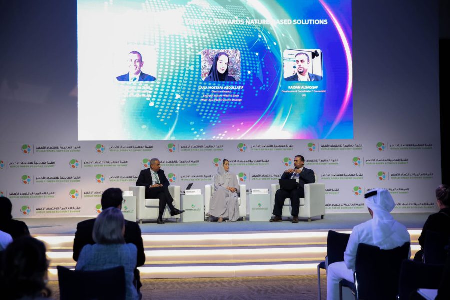 The 2024 World Green Economy Summit highlights the role of green finance in increasing climate resilience and driving sustainable development