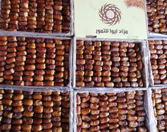 برعاية حمدان بن زايد .. مهرجان و مزاد “ليوا للتمور” ينطلق غداً بدورته الـ3