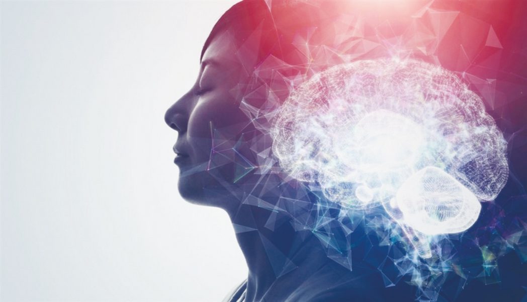 الذاكرة لا تقتصر على الدماغ فقط