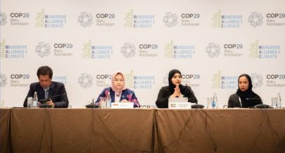 COP29 .. الإمارات تكشف عن استراتيجية 2031 لتحالف القرم من أجل المناخ