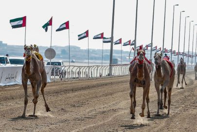 تحت رعاية رئيس الدولة.. انطلاق جائزة زايد الكبرى لسباقات الهجن 2024 بالوثبة غداً