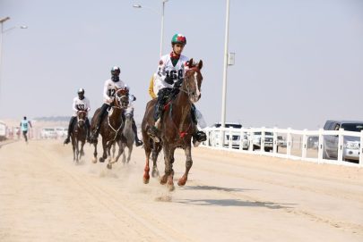 سباق كأس عيد الاتحاد للقدرة ينطلق غداً في الوثبة