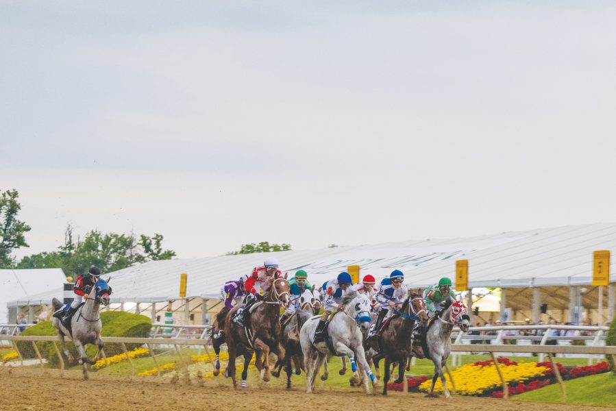 أمريكا تحتضن كأس رئيس الدولة للخيول العربية الأصيلة