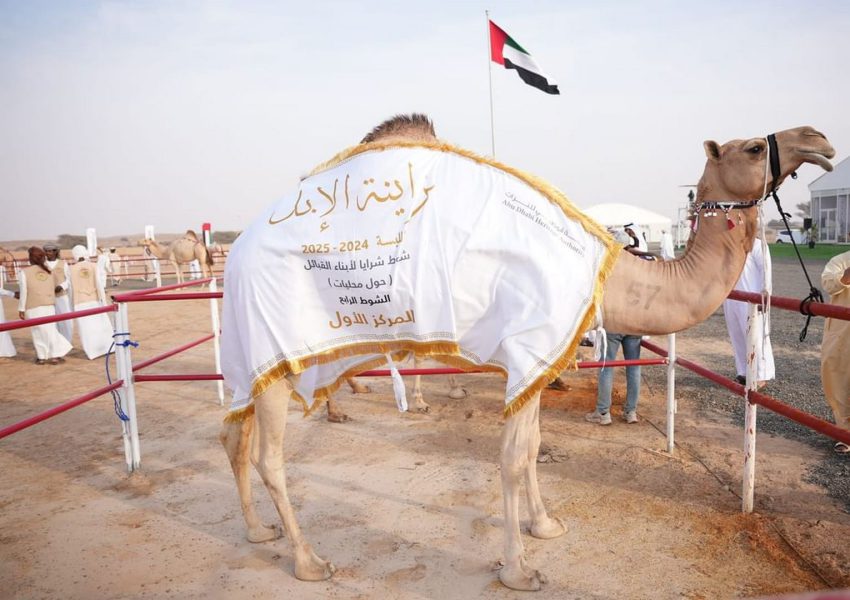 سلطان بن حمدان: مهرجان محمد بن زايد للهجن يواصل تحقيق الإنجازات