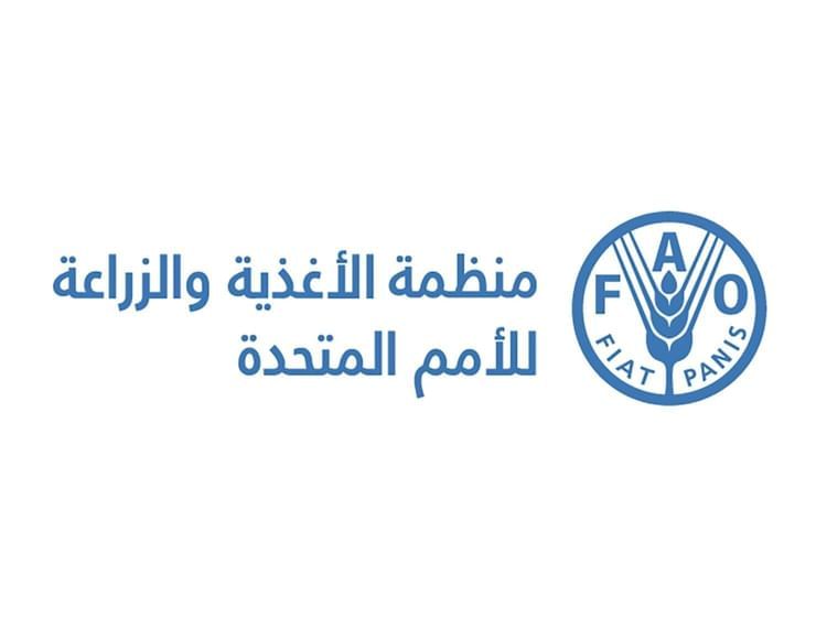 الفاو : 70% من تربة العالم المتأثرة بالملوحة تتركز في 10 دول