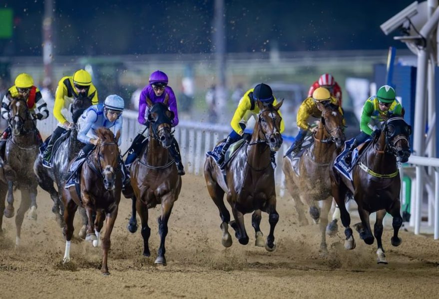 105 خيول تشارك غداً في الأمسية الثالثة لـ”كرنفال سباقات دبي”