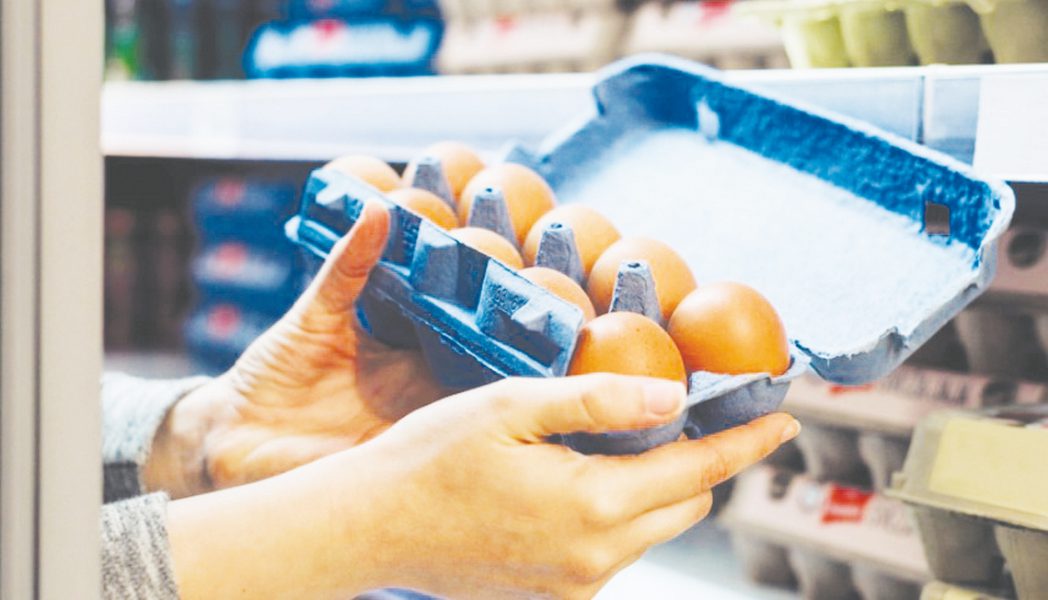 تخزين البيض يحتاج إلى درجة حرارة ثابتة تقل عن 20 مئوية