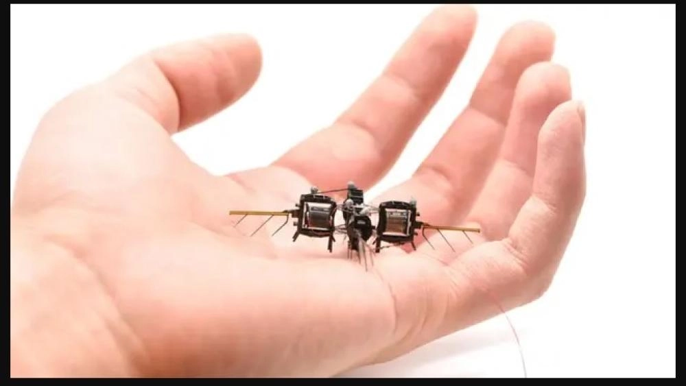 باحثون يطورون حشرات روبوتية لتلقيح المحاصيل الزراعية