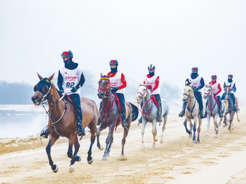 مهرجان محمد بن راشد آل مكتوم للقدرة ينطلق الثلاثاء بمشاركة نخبة فرسان العالم
