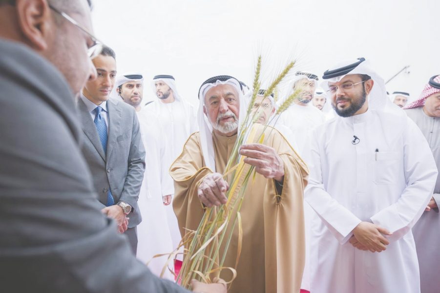 حاكم الشارقة يشهد حصاد الموسم الثالث لقمح “سبع سنابل” في مليحة