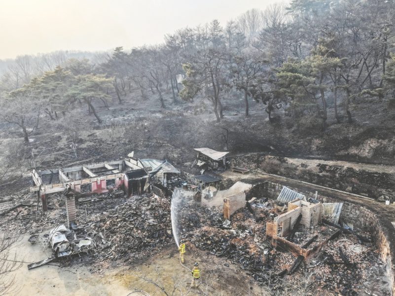 كوريا تكافح حرائق غابات في المنطقة الجنوبية الشرقية