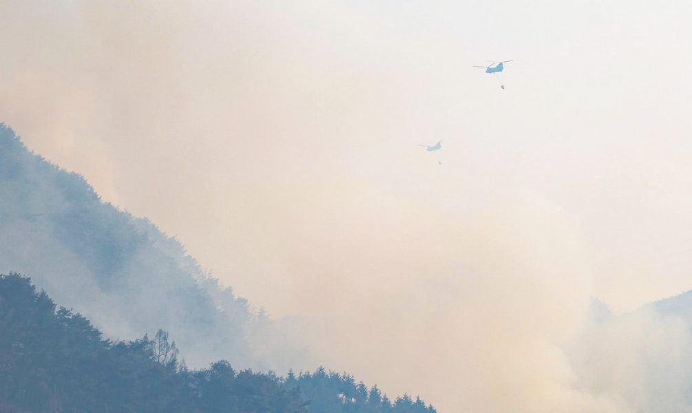 كوريا الجنوبية تعلن حالة الكارثة بسبب حرائق الغابات