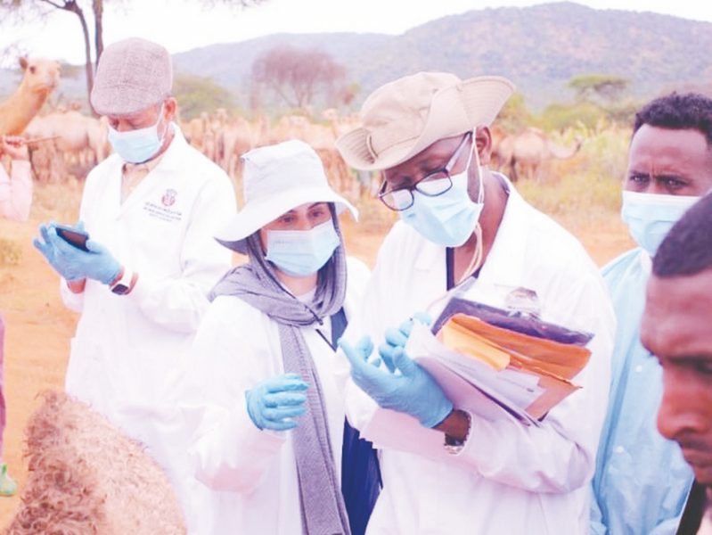 “المركز المرجعي” بأبوظبي يرصد أحد المسببات المرضية لنفوق الإبل في إثيوبيا